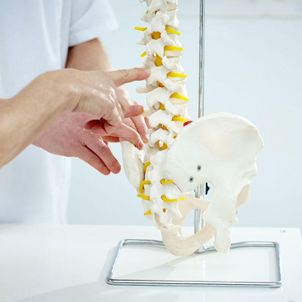 North Windham Chiropractor Chiropractic North Windham Connecticut Chiropractors CT 06256